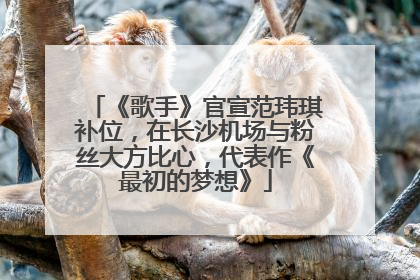 《歌手》官宣范玮琪补位，在长沙机场与粉丝大方比心，代表作《最初的梦想》