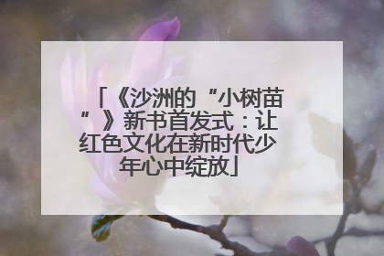 《沙洲的“小树苗”》新书首发式：让红色文化在新时代少年心中绽放