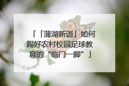 「蒲湖新语」如何踢好农村校园足球教育的“临门一脚”