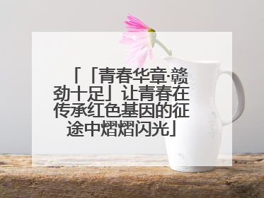 「青春华章·赣劲十足」让青春在传承红色基因的征途中熠熠闪光