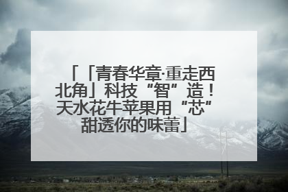 「青春华章·重走西北角」科技“智”造！天水花牛苹果用“芯”甜透你的味蕾