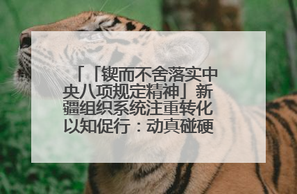 「锲而不舍落实中央八项规定精神」新疆组织系统注重转化以知促行：动真碰硬抓好整改整治