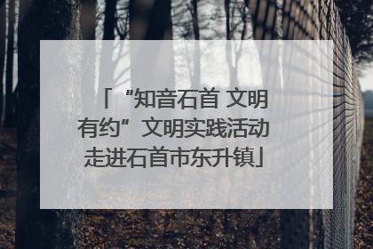 “知音石首 文明有约”文明实践活动走进石首市东升镇