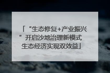 “生态修复+产业振兴”开启沙地治理新模式 生态经济实现双效益