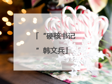 “硬核书记”韩文兵