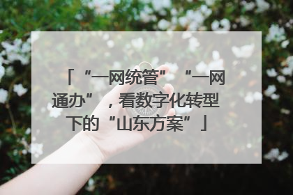 “一网统管”“一网通办”，看数字化转型下的“山东方案”