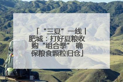 “三夏”一线丨肥城：打好夏粮收购“组合拳” 确保粮食颗粒归仓