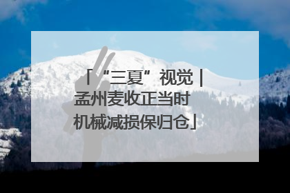 “三夏”视觉｜孟州麦收正当时 机械减损保归仓
