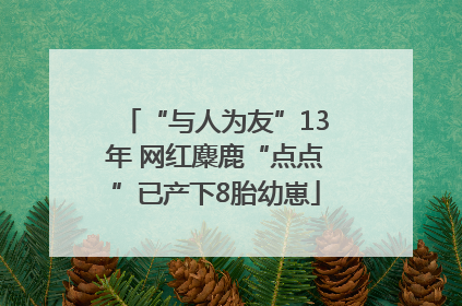 “与人为友”13年 网红麋鹿“点点”已产下8胎幼崽