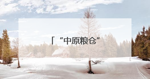 “中原粮仓”河南耕地面积实现四年连增