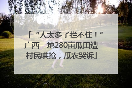 “人太多了拦不住！”广西一地280亩瓜田遭村民哄抢，瓜农哭诉