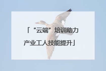 “云端”培训助力产业工人技能提升
