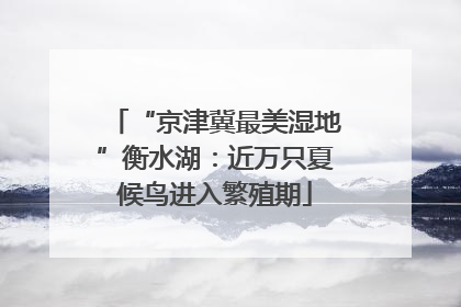 “京津冀最美湿地”衡水湖：近万只夏候鸟进入繁殖期