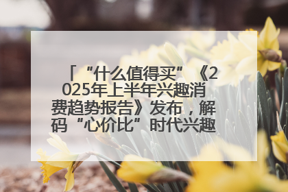 “什么值得买”《2025年上半年兴趣消费趋势报告》发布，解码“心价比”时代兴趣消费新范式