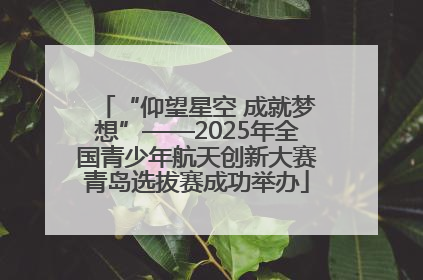 “仰望星空 成就梦想”——2025年全国青少年航天创新大赛青岛选拔赛成功举办