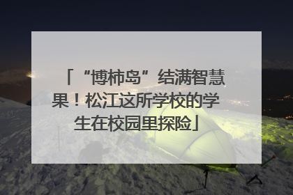 “博柿岛”结满智慧果！松江这所学校的学生在校园里探险