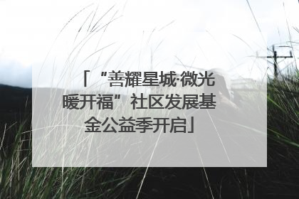 “善耀星城·微光暖开福”社区发展基金公益季开启