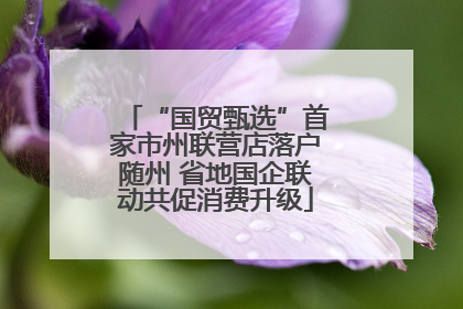 “国贸甄选”首家市州联营店落户随州 省地国企联动共促消费升级