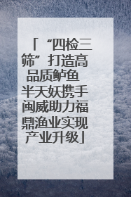 “四检三筛”打造高品质鲈鱼 半天妖携手闽威助力福鼎渔业实现产业升级