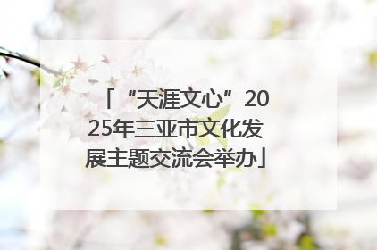 “天涯文心”2025年三亚市文化发展主题交流会举办