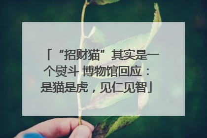 “招财猫”其实是一个熨斗 博物馆回应：是猫是虎，见仁见智