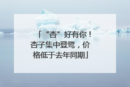 “杏”好有你！杏子集中登鹭，价格低于去年同期