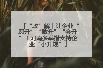 “政”解丨让企业“愿升”“敢升”“会升”！河南多举措支持企业“小升规”