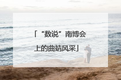 “数说”南博会上的曲靖风采