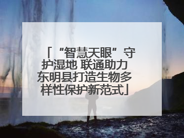 “智慧天眼”守护湿地 联通助力东明县打造生物多样性保护新范式