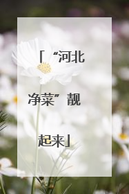 “河北净菜”靓起来