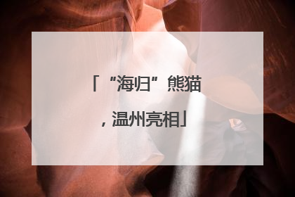 “海归”熊猫，温州亮相