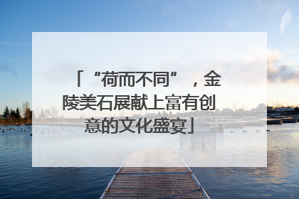 “荷而不同”，金陵美石展献上富有创意的文化盛宴