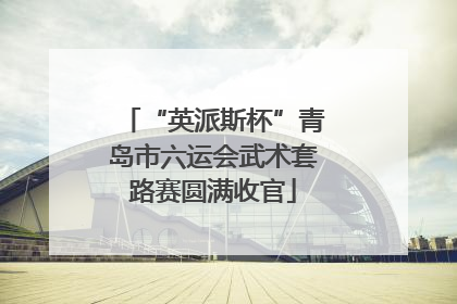 “英派斯杯”青岛市六运会武术套路赛圆满收官