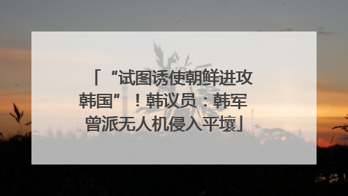 “试图诱使朝鲜进攻韩国”！韩议员：韩军曾派无人机侵入平壤