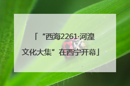 “西海2261·河湟文化大集”在西宁开幕