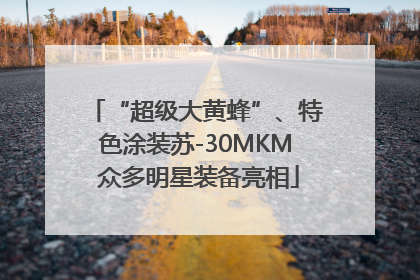 “超级大黄蜂”、特色涂装苏-30MKM 众多明星装备亮相
