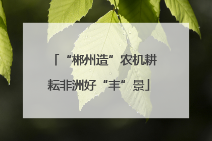 “郴州造”农机耕耘非洲好“丰”景