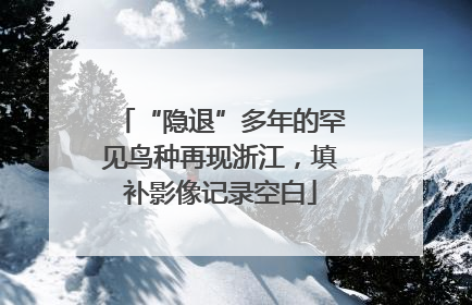 “隐退”多年的罕见鸟种再现浙江，填补影像记录空白