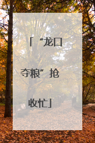 “龙口夺粮”抢收忙