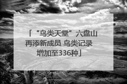 “鸟类天堂”六盘山再添新成员 鸟类记录增加至336种