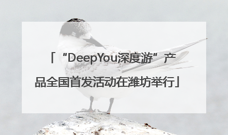“DeepYou深度游”产品全国首发活动在潍坊举行
