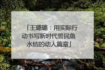 王璐璐：用实际行动书写新时代警民鱼水情的动人篇章