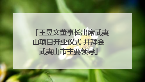 王昱文董事长出席武夷山项目开业仪式 并拜会武夷山市主要领导