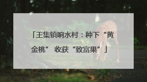王集镇响水村：种下“黄金桃” 收获“致富果”