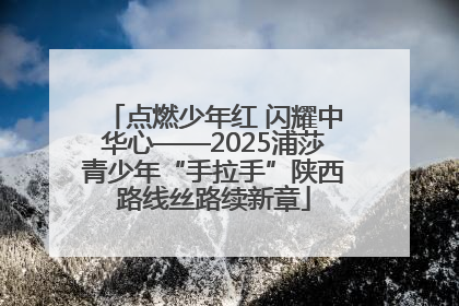点燃少年红 闪耀中华心——2025浦莎青少年“手拉手”陕西路线丝路续新章