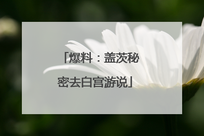 爆料：盖茨秘密去白宫游说