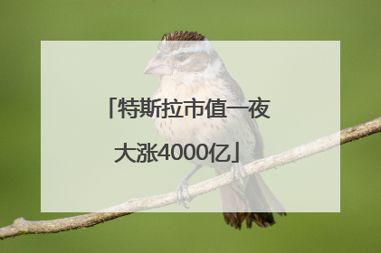 特斯拉市值一夜大涨4000亿