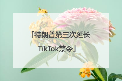 特朗普第三次延长TikTok禁令