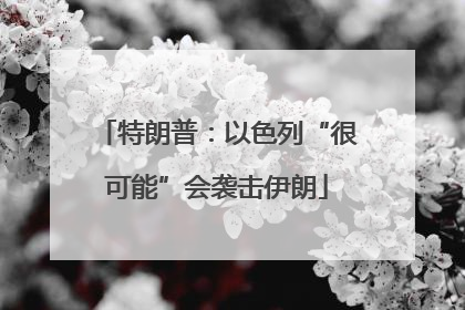 特朗普：以色列“很可能”会袭击伊朗