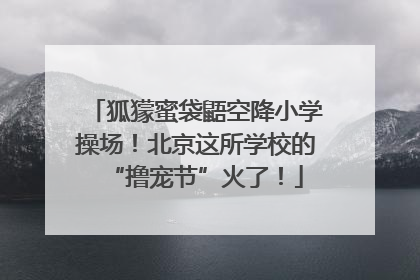 狐獴蜜袋鼯空降小学操场！北京这所学校的“撸宠节”火了！